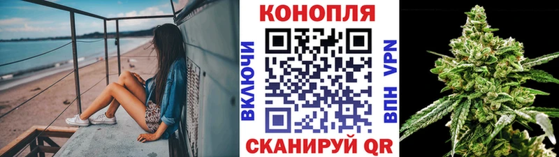 Купить наркотики Гвардейск Псилоцибиновые грибы  МДМА  ГАШИШ  Каннабис  СК  Мефедрон 