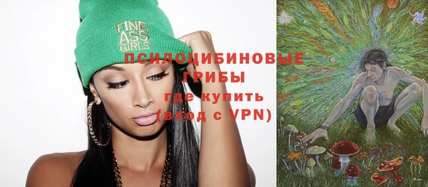 тгк Алзамай