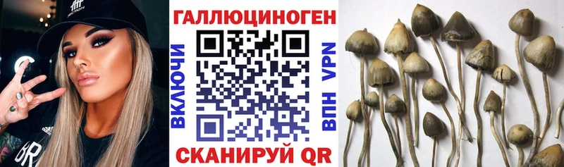 Галлюциногенные грибы мухоморы  Гвардейск 