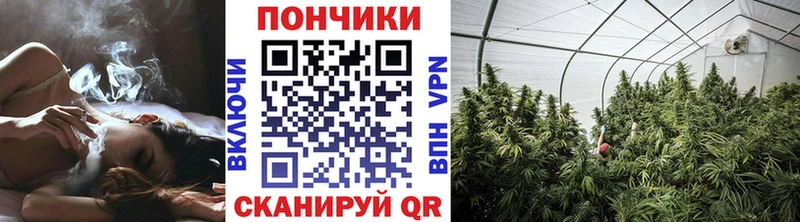 Конопля марихуана  Гвардейск 